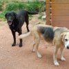 luna et paco